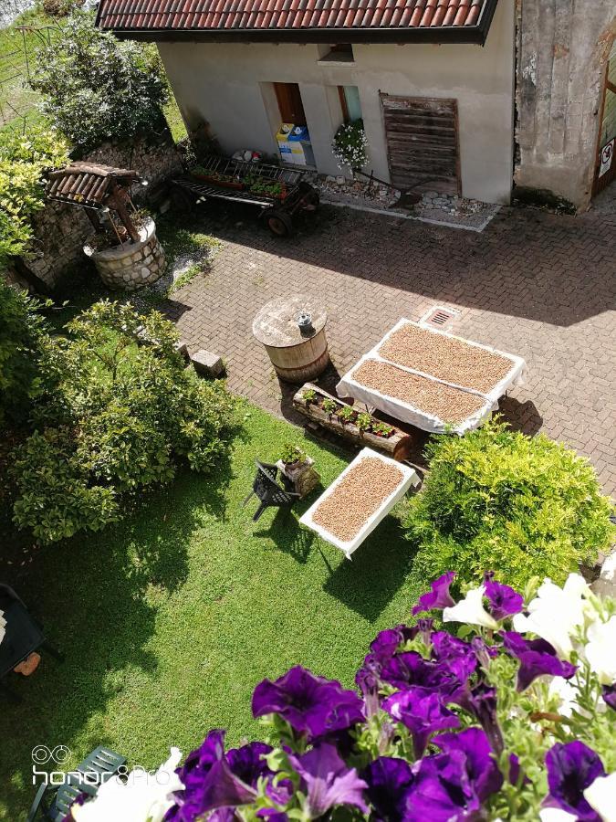 Agriturismo Antica Pieve Limana Εξωτερικό φωτογραφία